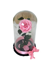 Load image into Gallery viewer, Preserved Rose in Glass Dome – Lasts Up to 6 Months