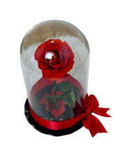 Load image into Gallery viewer, Preserved Rose in Glass Dome – Lasts Up to 6 Months