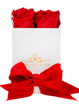 Load image into Gallery viewer, Mini Eternal Square Box